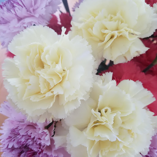 Vicki Johnson Photo 5