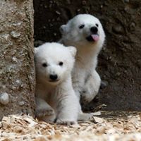 Deborah Gallivan Photo 12