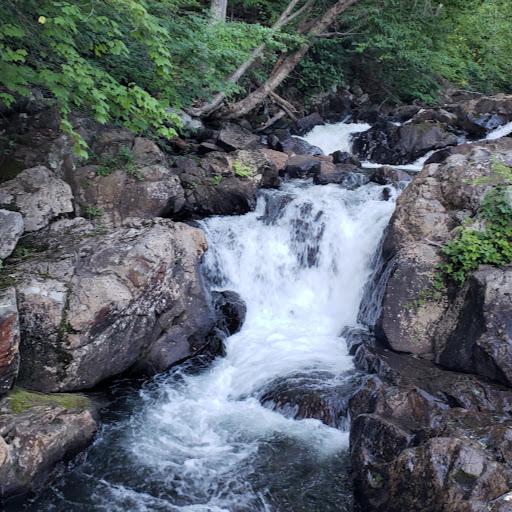 Robin Fitzgerald Photo 9