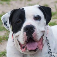 Angie Miller Photo 3 Angie Miller Photo 3