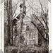 Martha Howard Photo 30