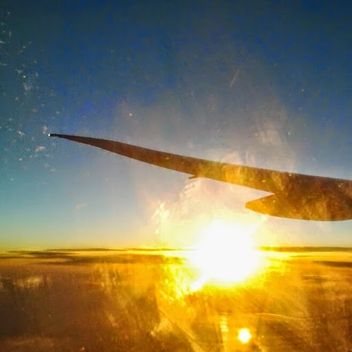 Michelle Choi Photo 42