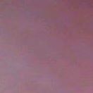 William Rees Photo 18