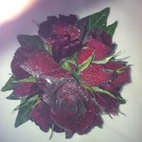 Debra Guthrie Photo 13