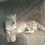 Phyllis Peek Photo 1