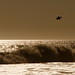Jesse Downey Photo 16