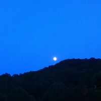 David Treadway Photo 27