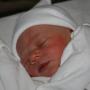 Michael Scheetz Photo 21