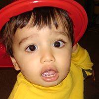 Cheryl Flynn Photo 28