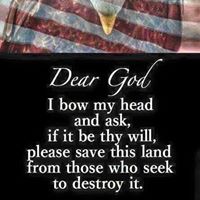 Cathy Shuler Photo 13