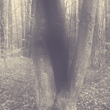 Sadie Harris Photo 30 Sadie Harris Photo 30