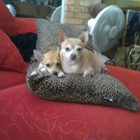 Barbara Rhoades Photo 20