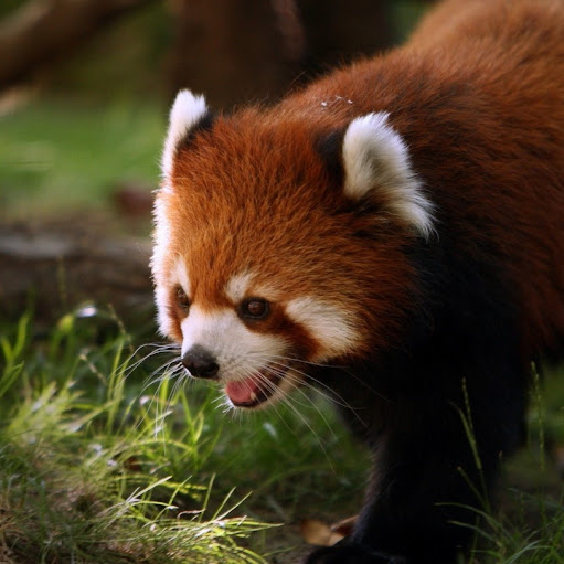 Elizabeth Benjamin Photo 9 Elizabeth Benjamin Photo 9