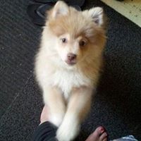 Lanny Proctor Photo 4