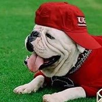 Nicholas Casey Photo 18