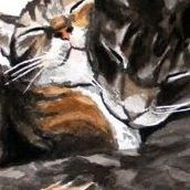 Caitlin Allen Photo 23