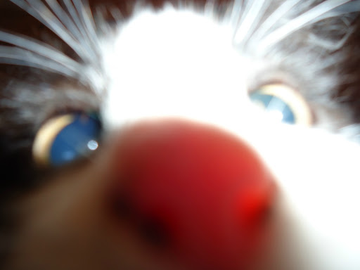 Janice Hyatt Photo 26