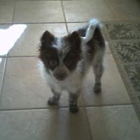 Ann Higginbotham Photo 10