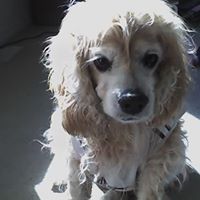 Jill Strickler Photo 10