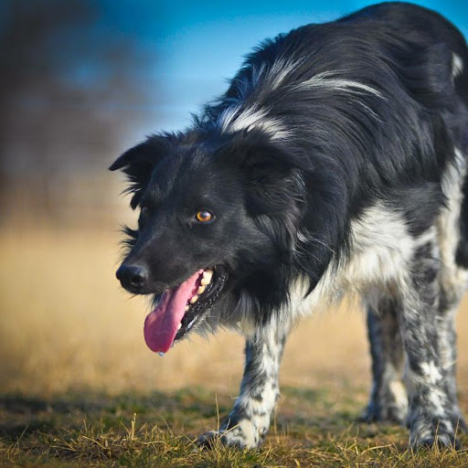 Barry Lambert Photo 2