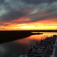 Suzanne Mckeever Photo 4