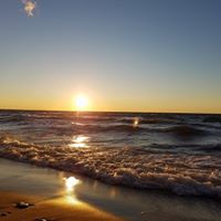 Steve Walters Photo 26 Steve Walters Photo 26