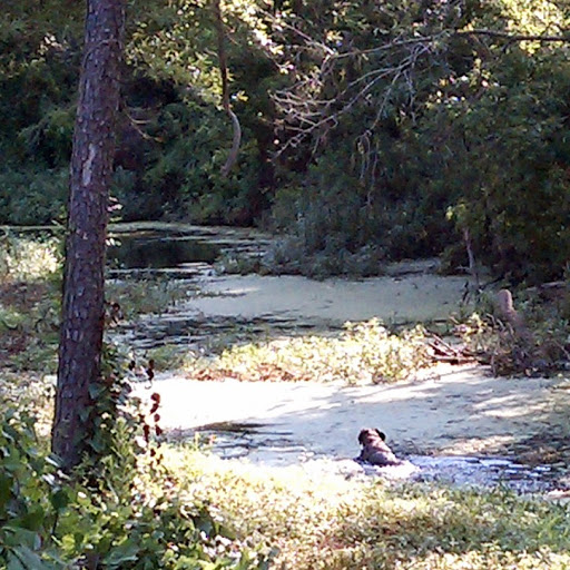 Alan Sexton Photo 21