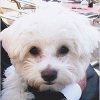 Mary Devlin Photo 15 Mary Devlin Photo 15