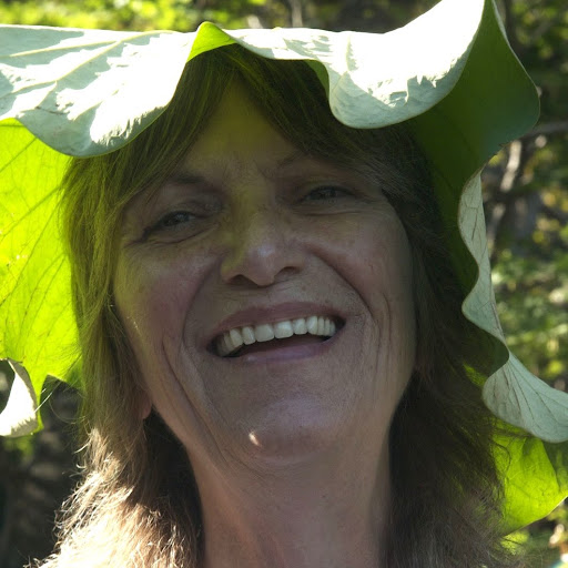 Diane Lewis Photo 11