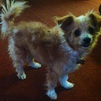 Phyllis Jaeger Photo 6