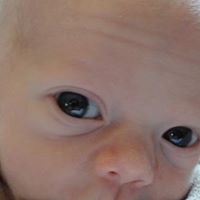 Scott Ellis Photo 14