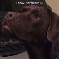 Polly Burns Photo 22