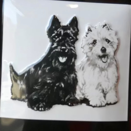 Chris Sheppard Photo 34