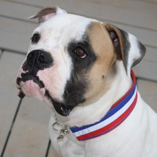 Kristen Schaefer Photo 25