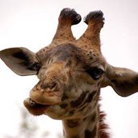 Julie Gettel Photo 2