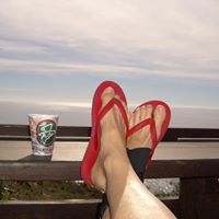 Roberta Stein Photo 15