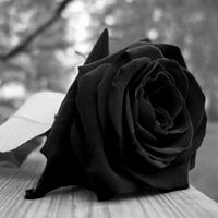 Alicia Almeida Photo 19