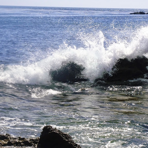 Jill Calvert Photo 2