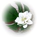 Sharon Wilkinson Photo 43