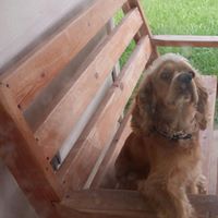 Raul Garza Photo 30 Raul Garza Photo 30