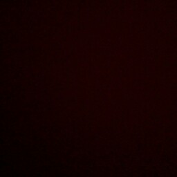 Jeremiah Kelly Photo 5