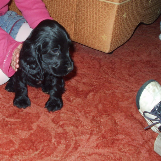 Hannah Hill Photo 8