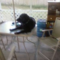 Anna Dotson Photo 10