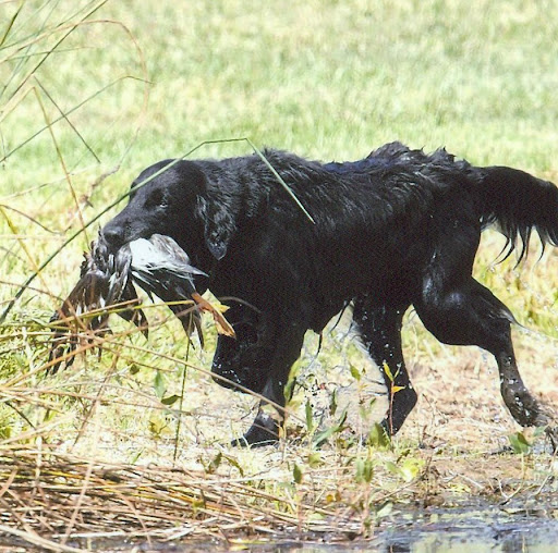 Marilyn Wilkinson Photo 9