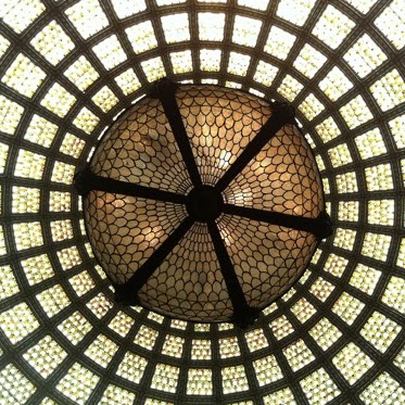 Stephen Shea Photo 8