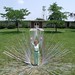 Judy Ellis Photo 26