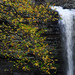 Jean Fell Photo 12
