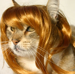 Jamie Hopper Photo 9