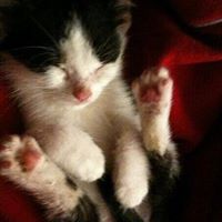 Suzanne Everett Photo 27