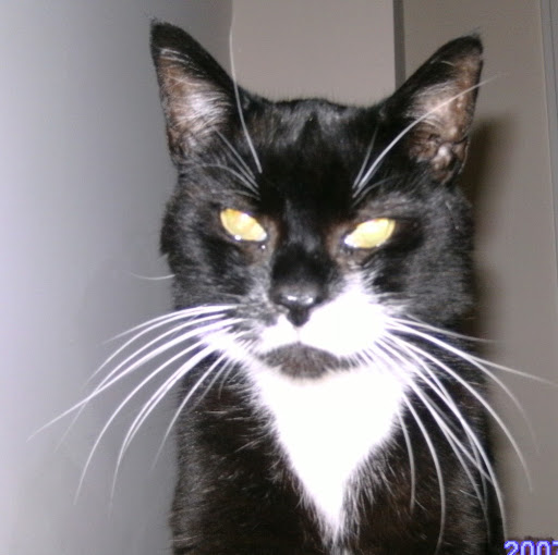 Pamela Mcmillan Photo 34